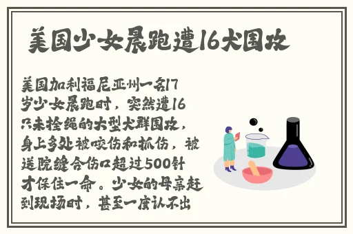 趣夜下载安卓版